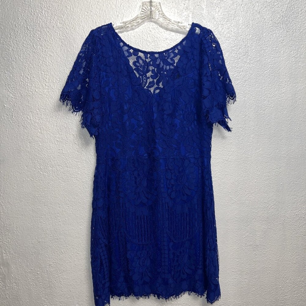 Lulus Women,s Lace Floral Dress Blue embroidery  Short Jewel Sleeve Large A Line